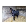 Pikkukuva 2 / 2: StormX Original 200 Combo Neck Horse Combo Turnout Rug