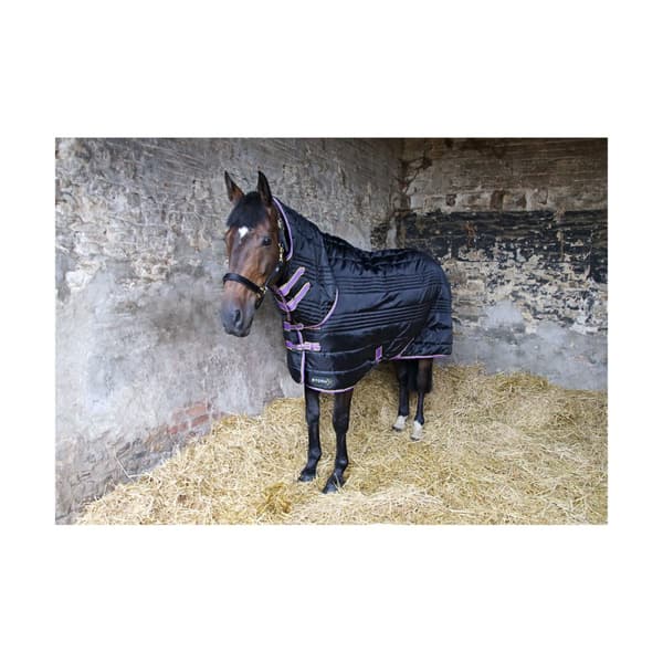 StormX Original 200 Combo Neck Horse Combo Turnout Rug