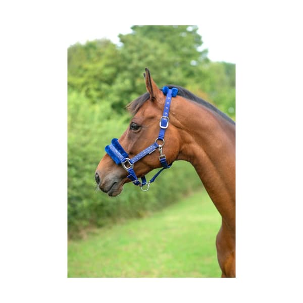 Hy Dazzle Horse Collar