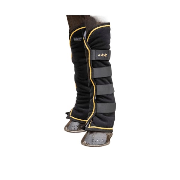 Supreme Products Royal Occasion Horse Travel Boots (Pack of 4)