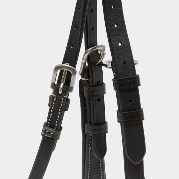 Salisbury Buckingham Leather Horse Bridle