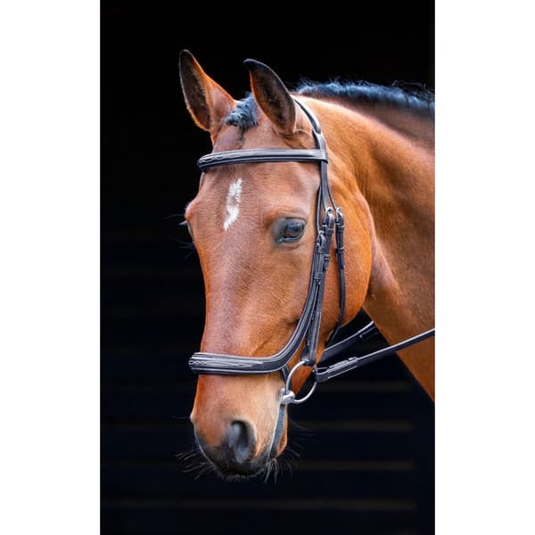 Salisbury Berkeley Leather Horse Bridle