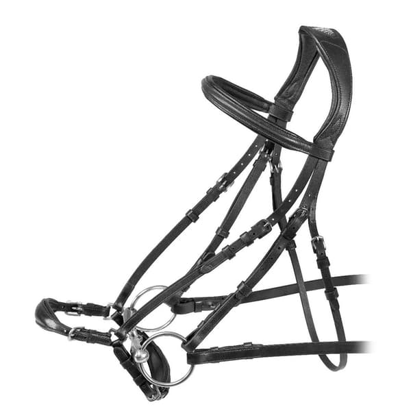 Velociti Rapida Leather Horse Noseband Bridle