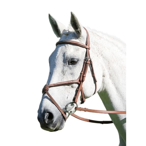 Avignon Leather Horse Grackle Noseband