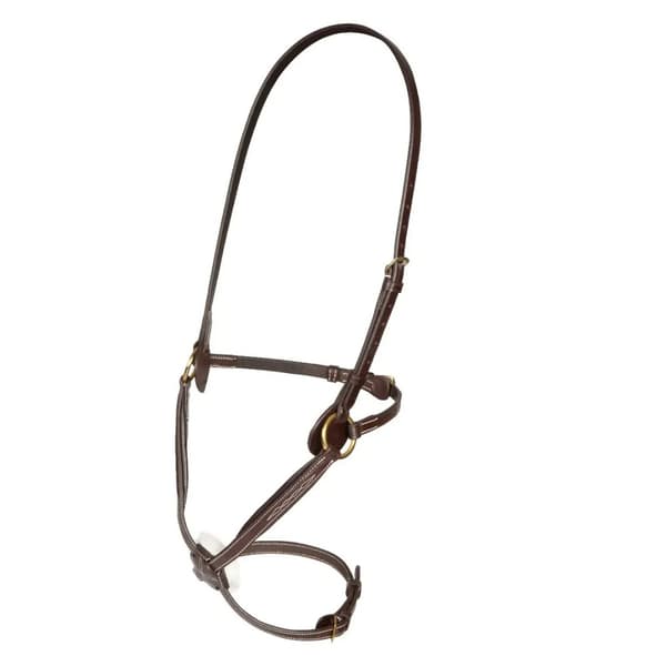 Salisbury Brackley Leather Horse Noseband