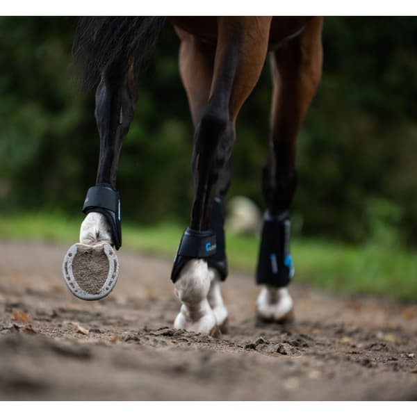 ARMA Carbon Flex Horse Fetlock Boots för hästar