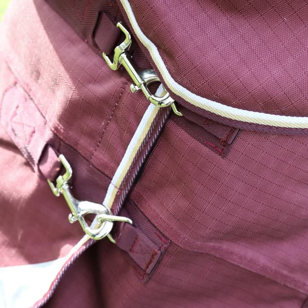 Highlander Plus Standard-Neck 100g häst Turnout Rug