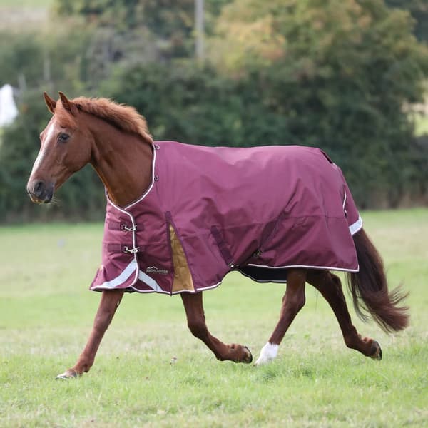 Highlander Plus Standard-Neck 100g häst Turnout Rug