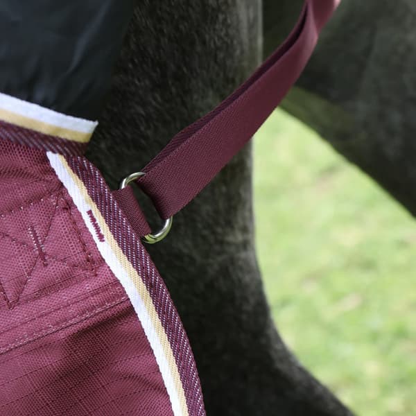 Highlander Plus Combo Neck 100g häst Turnout Rug