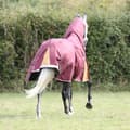 Miniatyrbild 2 av 5: Highlander Plus Combo Neck 100g häst Turnout Rug