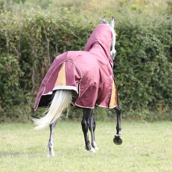 Highlander Plus Combo Neck 100g häst Turnout Rug