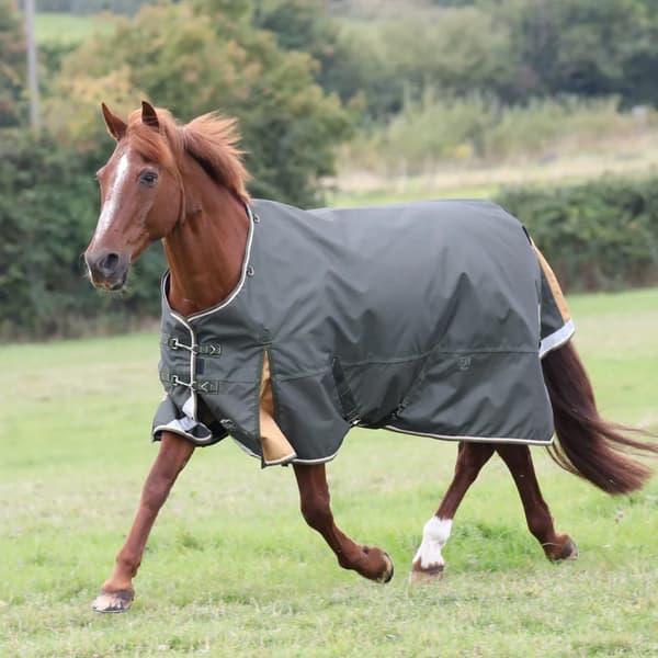 Highlander Plus Standard-Neck 50g Horse Turnout Rug