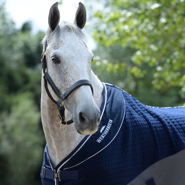 Weatherbeeta Thermo-Air Standard-Neck Horse Cooler Rug