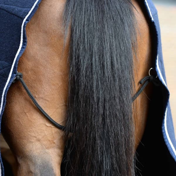 Weatherbeeta Standard-Neck Wool Blend Horse Rug