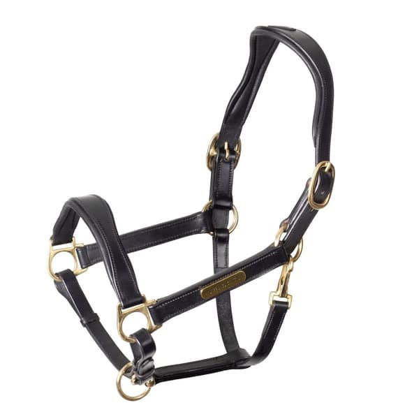 Velociti Rapida Leather Horse Headcollar