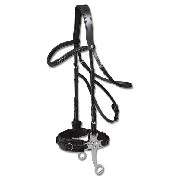 Waldhausen Tygla Hackamore X-line Silver Full