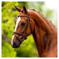 Miniatyrbillede 2 af 3: Br Trense Cheltenham Brun Cob