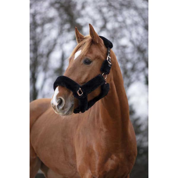Equitheme Grimma Teddy Rose Gold Svart Full