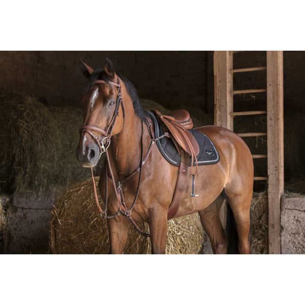 Eric Thomas Breastplade Hybrid Brun Cob