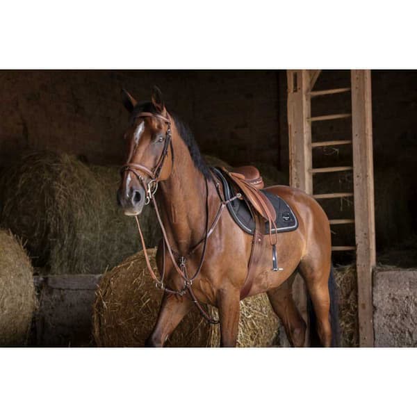 Eric Thomas Breastplade Hybrid Brun Cob