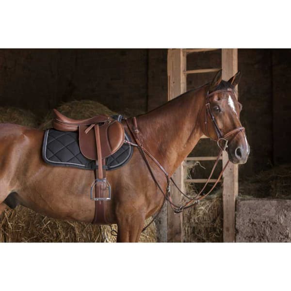 Eric Thomas Breastplade Hybrid Brun Cob