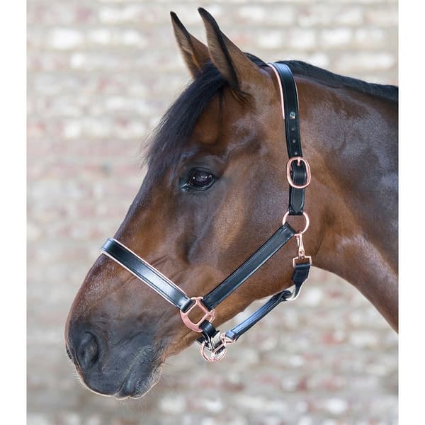 Waldhausen Grime Leather Rosé Gylden Full