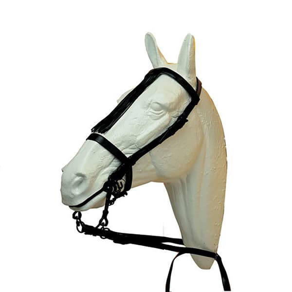 Hispano Hipica Klassisk Vestlig Trense Beige Full