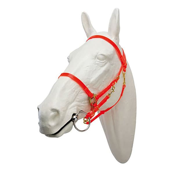 Hispano Hipica Endurance Hållare Tpu Orange Cob