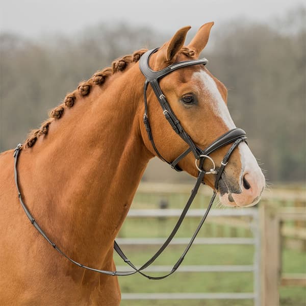 Horka Trense Crown Sort Cob