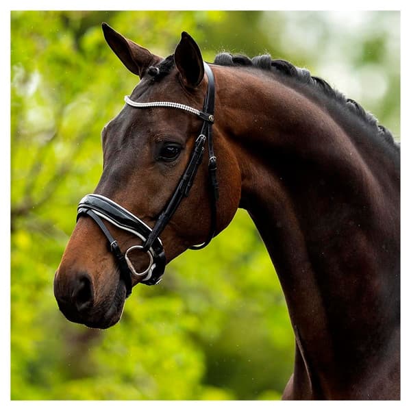 Br Tygla Playmouth Ii Svart Cob