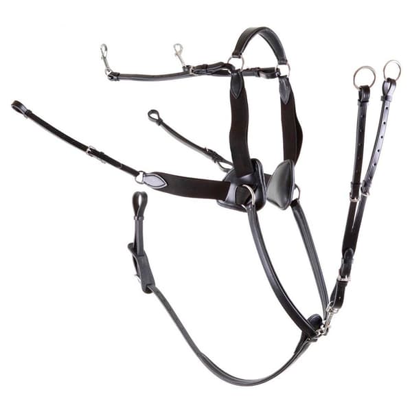 Premiere Breastplate Med Elastiska Punkter 5 Svart Pony