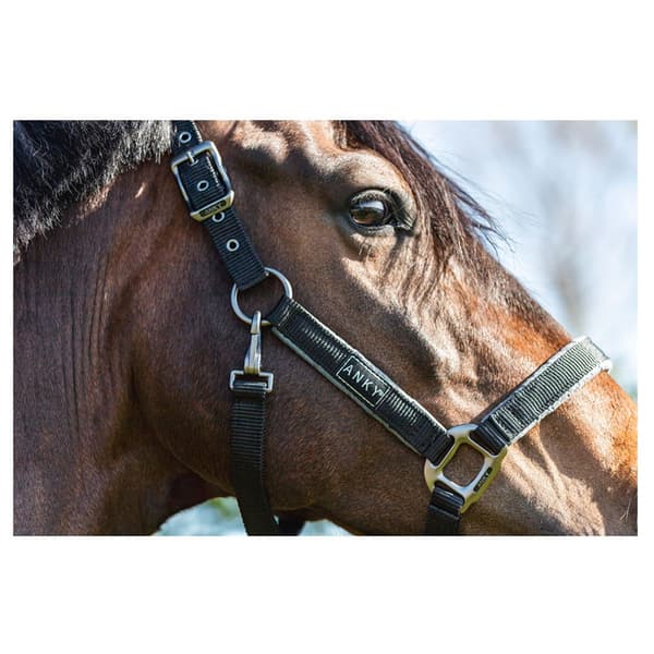 Anky Grime Grooming Ath22001 Sort Cob