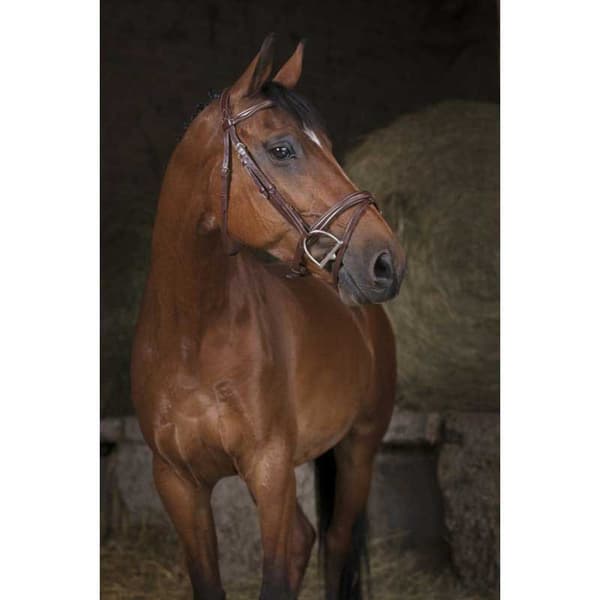 Norton Equestrian Grimma Combine Grå Full
