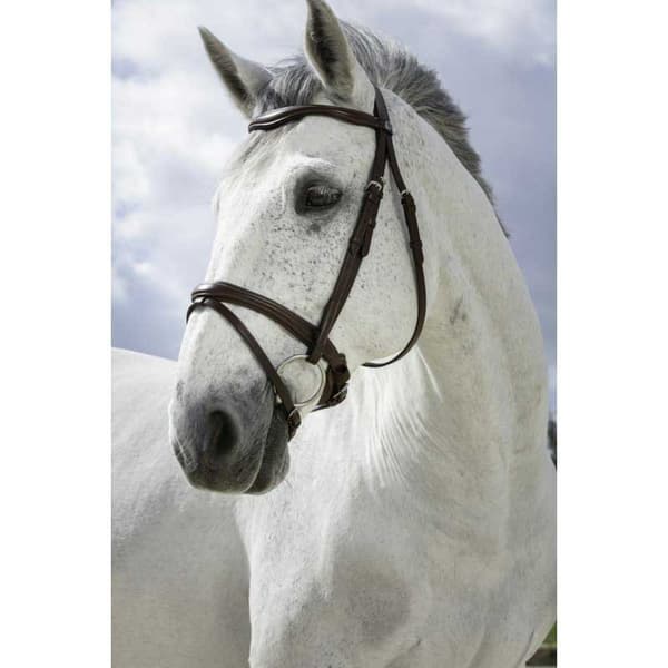 Norton Equestrian Grimma Combine Grå Full