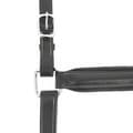 Miniatyrbillede 1 af 2: Norton Equestrian Anatomisk Grime Brun Full