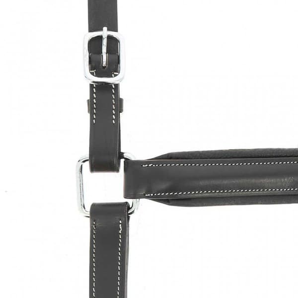 Norton Equestrian Anatominen Riimu Ruskea Full