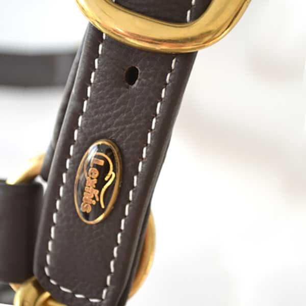 Lexhis Luxe Leather Riimu Ruskea Cob