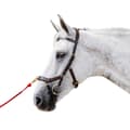 Pikkukuva 1 / 2: Horseware Suitset Inglesa Micklem 2 Multibridle Ruskea Full