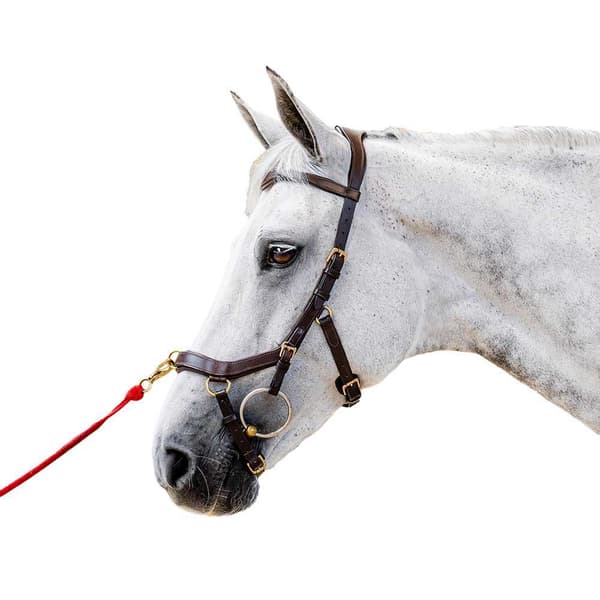 Horseware Trense Inglesa Micklem 2 Multibridle Brun Full