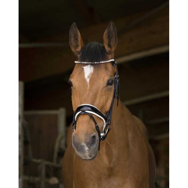 Norton Equestrian Grime Bella Brun Full