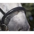Miniatyrbillede 3 af 5: Norton Equestrian Grime Club Xfs Mf Sort Full