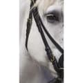 Miniatyrbillede 4 af 5: Norton Equestrian Grime Club Xfs Mf Sort Full