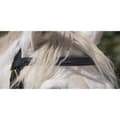 Miniatyrbillede 5 af 5: Norton Equestrian Grime Club Xfs Mf Sort Full