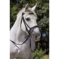 Miniatyrbillede 2 af 5: Norton Equestrian Grime Club Xfs Mf Sort Full