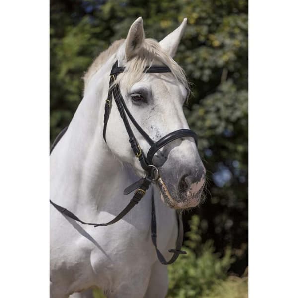 Norton Equestrian Grime Club Xfs Mf Sort Full