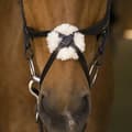 Miniatyrbild 2 av 2: Norton Equestrian Grimma Med Nosgrimma Crossed Brun Full