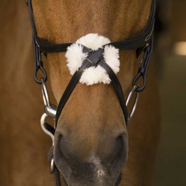 Norton Equestrian Grimma Med Nosgrimma Crossed Brun Full