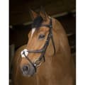 Miniatyrbild 1 av 2: Norton Equestrian Grimma Med Nosgrimma Crossed Brun Full