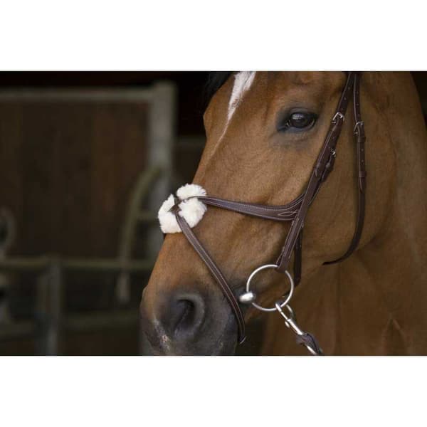 Norton Equestrian Grime Med Næsebånd Crossed Brun Cob