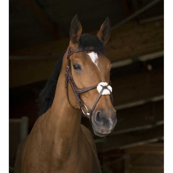 Norton Equestrian Grime Med Næsebånd Crossed Brun Cob